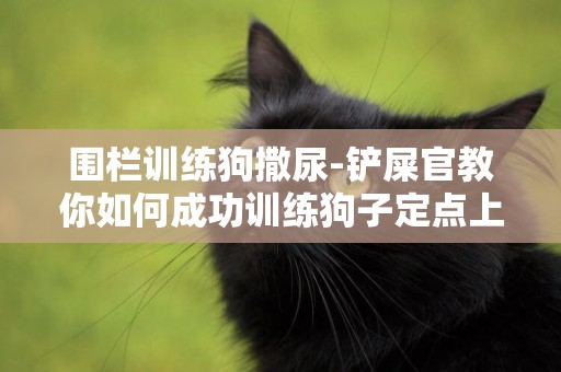 圍欄訓練狗撒尿-鏟屎官教你如何成功訓練狗子定點上廁所