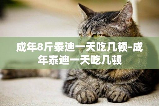 成年8斤泰迪一天吃幾頓-成年泰迪一天吃幾頓