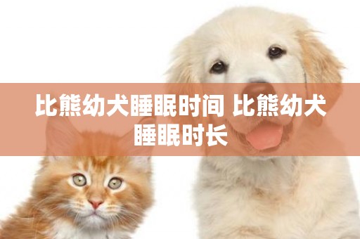 比熊幼犬睡眠時間 比熊幼犬睡眠時長