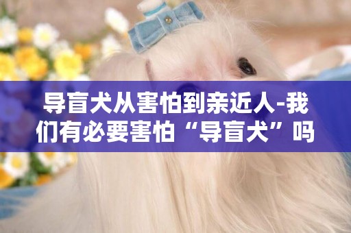 導盲犬從害怕到親近人-我們有必要害怕“導盲犬”嗎