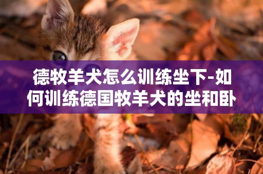 德牧羊犬怎么訓練坐下-如何訓練德國牧羊犬的坐和臥