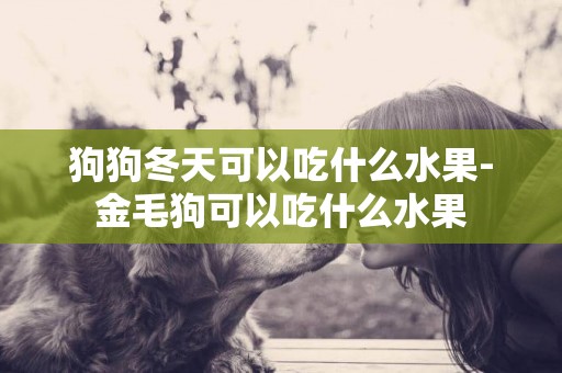 狗狗冬天可以吃什么水果-金毛狗可以吃什么水果