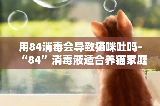 用84消毒會導致貓咪吐嗎-“84”消毒液適合養貓家庭用嗎