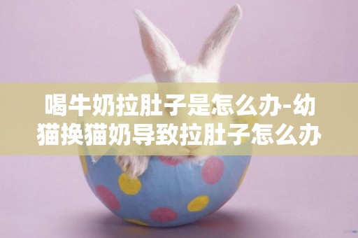 喝牛奶拉肚子是怎么辦-幼貓換貓奶導致拉肚子怎么辦