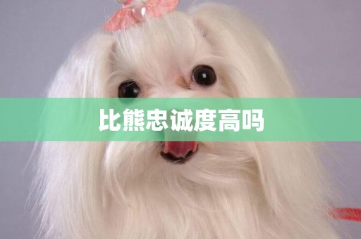 比熊忠誠度高嗎