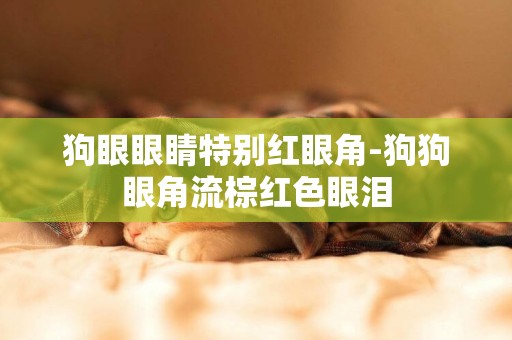狗眼眼睛特別紅眼角-狗狗眼角流棕紅色眼淚