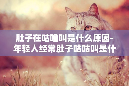 肚子在咕嚕叫是什么原因-年輕人經常肚子咕咕叫是什么問題