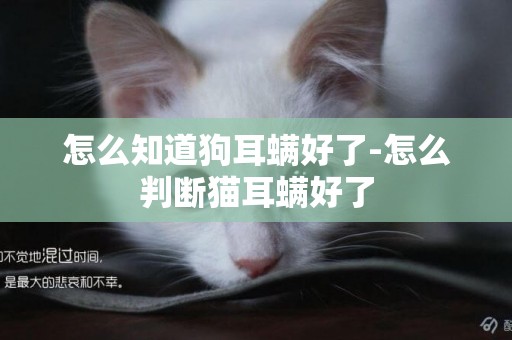 怎么知道狗耳螨好了-怎么判斷貓耳螨好了