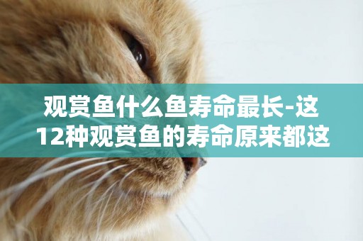 觀賞魚什么魚壽命最長-這12種觀賞魚的壽命原來都這么長