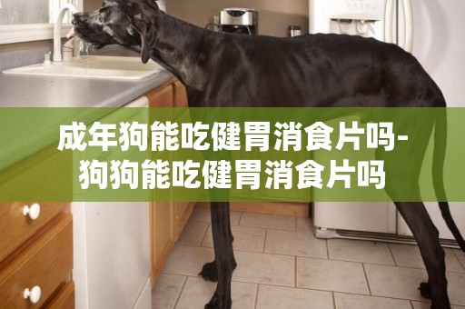 成年狗能吃健胃消食片嗎-狗狗能吃健胃消食片嗎