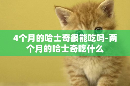 4個月的哈士奇很能吃嗎-兩個月的哈士奇吃什么