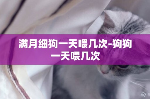 滿月細狗一天喂幾次-狗狗一天喂幾次