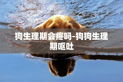 狗生理期會疼嗎-狗狗生理期嘔吐