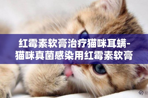 紅霉素軟膏治療貓咪耳螨-貓咪真菌感染用紅霉素軟膏可以嗎