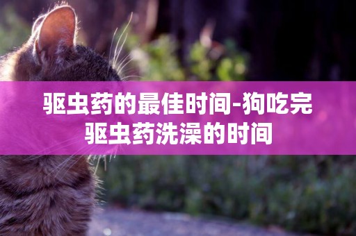 驅蟲藥的最佳時間-狗吃完驅蟲藥洗澡的時間