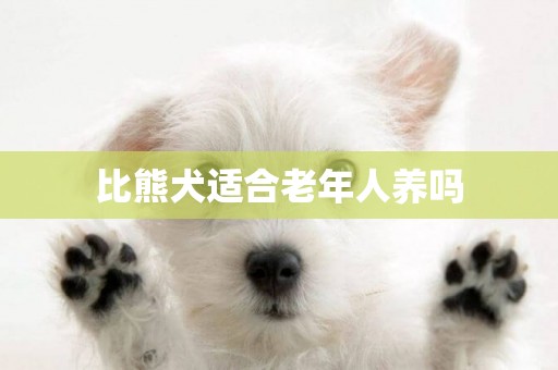 比熊犬適合老年人養嗎