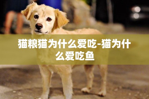 貓糧貓為什么愛吃-貓為什么愛吃魚