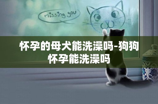 懷孕的母犬能洗澡嗎-狗狗懷孕能洗澡嗎