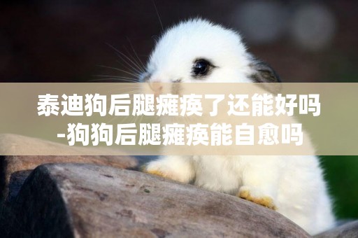 泰迪狗后腿癱瘓了還能好嗎-狗狗后腿癱瘓能自愈嗎