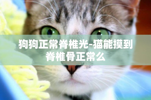 狗狗正常脊椎光-貓能摸到脊椎骨正常么