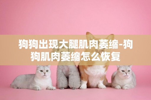 狗狗出現大腿肌肉萎縮-狗狗肌肉萎縮怎么恢復