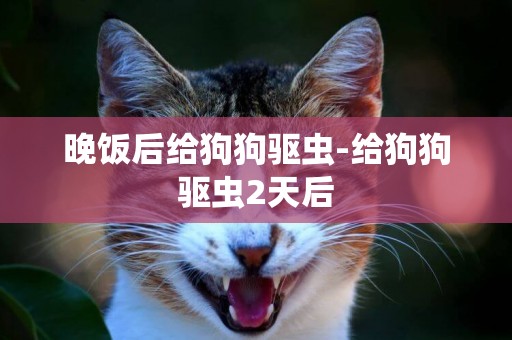 晚飯后給狗狗驅蟲-給狗狗驅蟲2天后