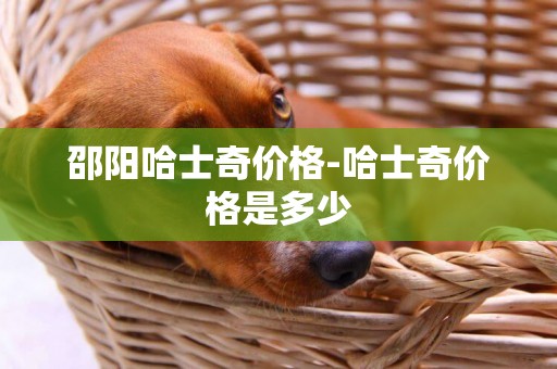 邵陽哈士奇價格-哈士奇價格是多少