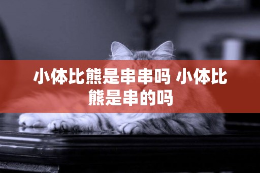 小體比熊是串串嗎 小體比熊是串的嗎