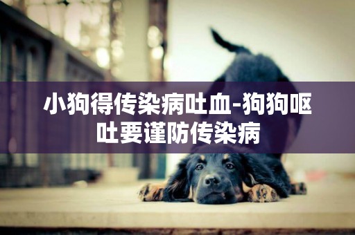 小狗得傳染病吐血-狗狗嘔吐要謹防傳染病