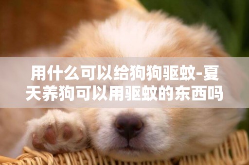 用什么可以給狗狗驅蚊-夏天養狗可以用驅蚊的東西嗎