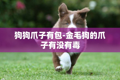 狗狗爪子有包-金毛狗的爪子有沒有毒