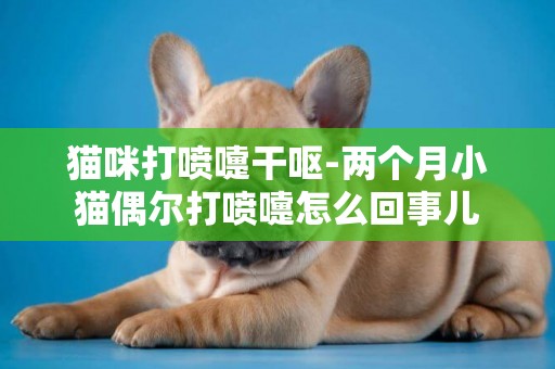貓咪打噴嚏干嘔-兩個月小貓偶爾打噴嚏怎么回事兒
