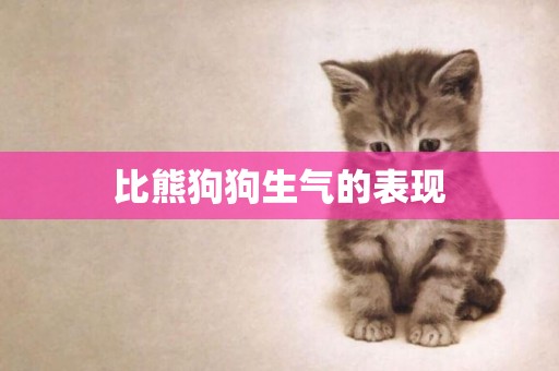 比熊狗狗生氣的表現