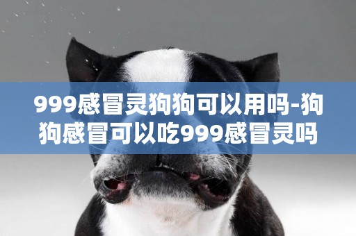 999感冒靈狗狗可以用嗎-狗狗感冒可以吃999感冒靈嗎