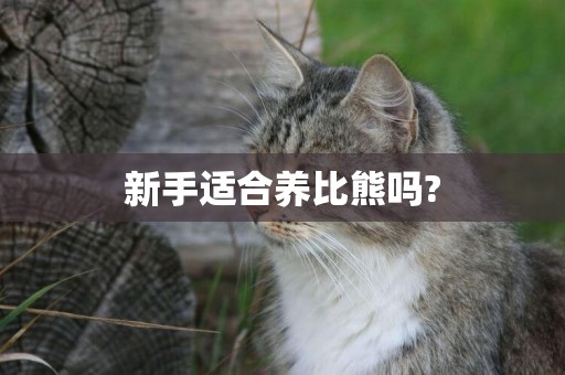 新手適合養比熊嗎?