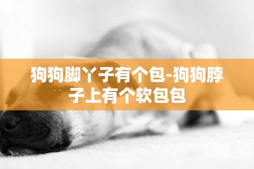 狗狗腳丫子有個包-狗狗脖子上有個軟包包