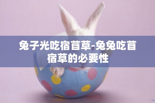 兔子光吃宿苜草-兔兔吃苜宿草的必要性
