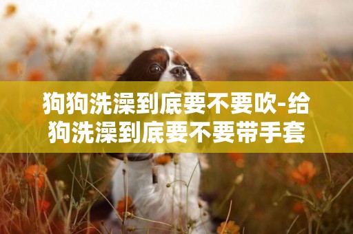 狗狗洗澡到底要不要吹-給狗洗澡到底要不要帶手套