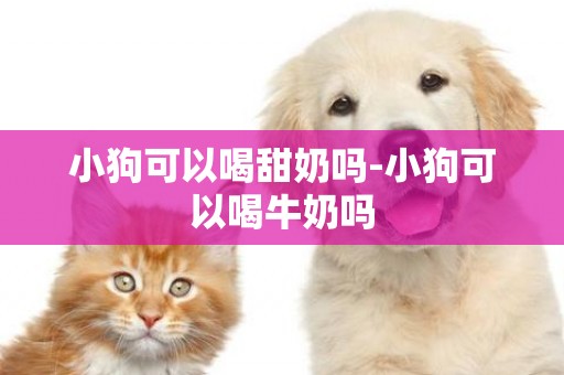 小狗可以喝甜奶嗎-小狗可以喝牛奶嗎