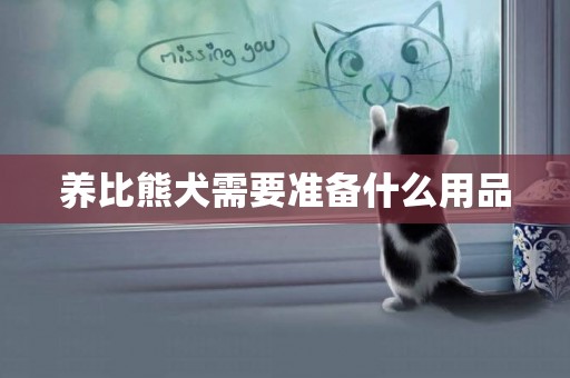 養比熊犬需要準備什么用品
