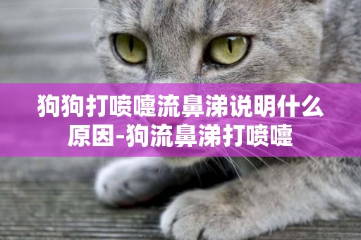 狗狗打噴嚏流鼻涕說明什么原因-狗流鼻涕打噴嚏