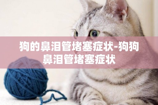 狗的鼻淚管堵塞癥狀-狗狗鼻淚管堵塞癥狀