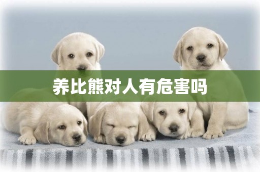 養比熊對人有危害嗎