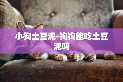 小狗土豆泥-狗狗能吃土豆泥嗎