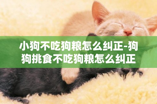 小狗不吃狗糧怎么糾正-狗狗挑食不吃狗糧怎么糾正