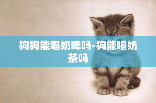 狗狗能喝奶啤嗎-狗能喝奶茶嗎