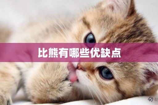 比熊有哪些優缺點