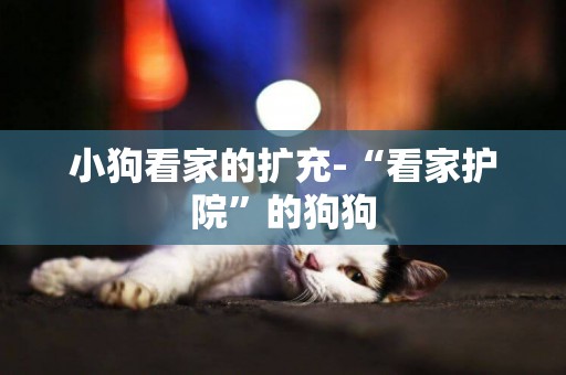 小狗看家的擴充-“看家護院”的狗狗