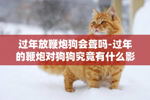 過年放鞭炮狗會聾嗎-過年的鞭炮對狗狗究竟有什么影響