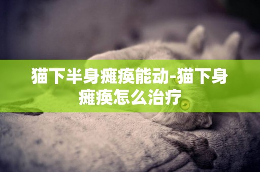 貓下半身癱瘓能動-貓下身癱瘓怎么治療